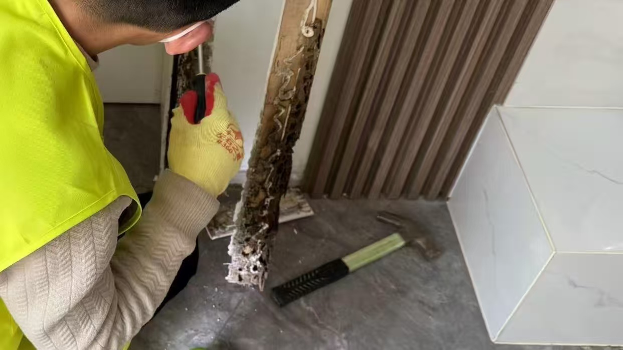 昆山中电颐和家园:装修预算超百万,为何要在开工前先做“两道屏障”? - 昆山·中电颐和家园白蚁防治施工现场大图