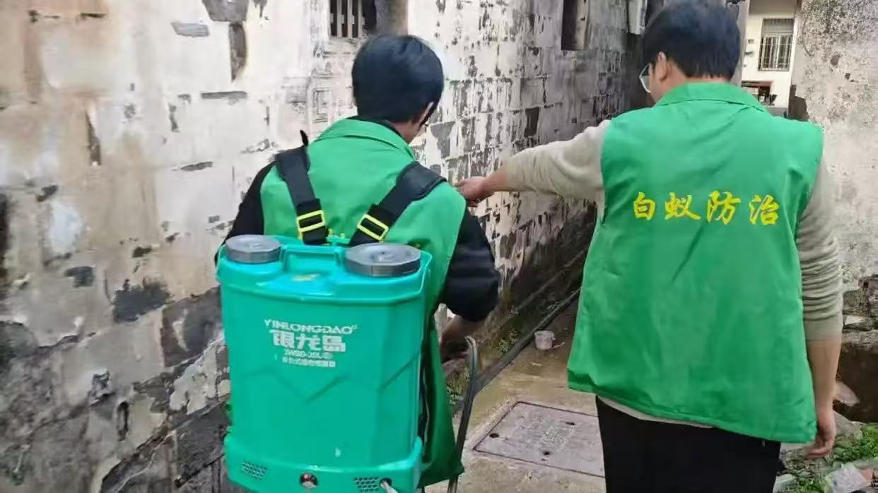 苏州常熟案例:为何地基做了预防,白蚁还是进了三楼? - 白蚁百科知识封面